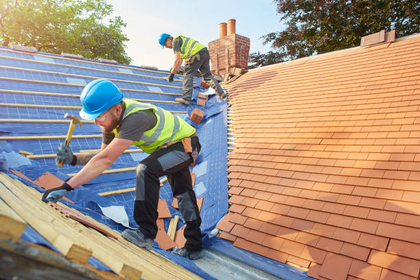 Best Roofing for New Construction  in Allen Park, MI